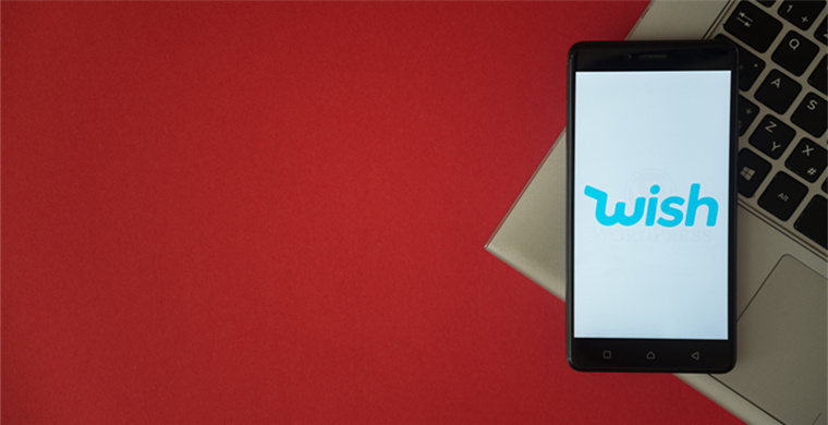 French WS number screening system