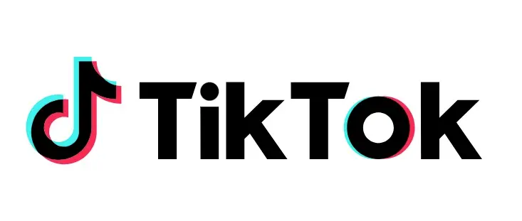How to Obtain TikTok Homepage URLs in Bulk? A Single Solution to Repeated Operations